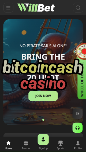 bitcoincash casino-asdasdzhjkds.com